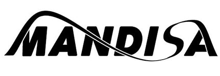 Mandisa Hair