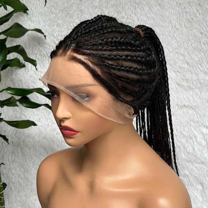 Full Lace Braided Wigs Straight Hair Transparent Full Lace Wig Human Hair