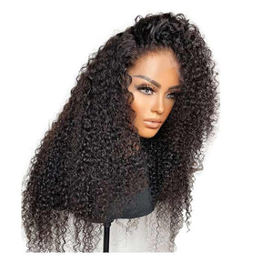 Kinky Curly 13x6 HD Transparent Full Lace Front Human Hair Wig